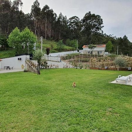 Quinta da Tormenta -14 pessoas- Cabeceiras de Basto 2 casas e piscina privada Exterior foto